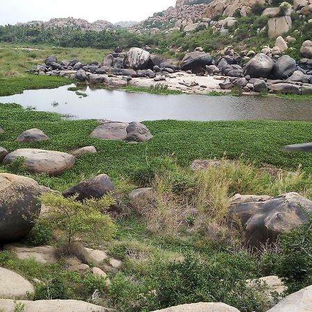 Riverside Homestay Hampi Luaran gambar