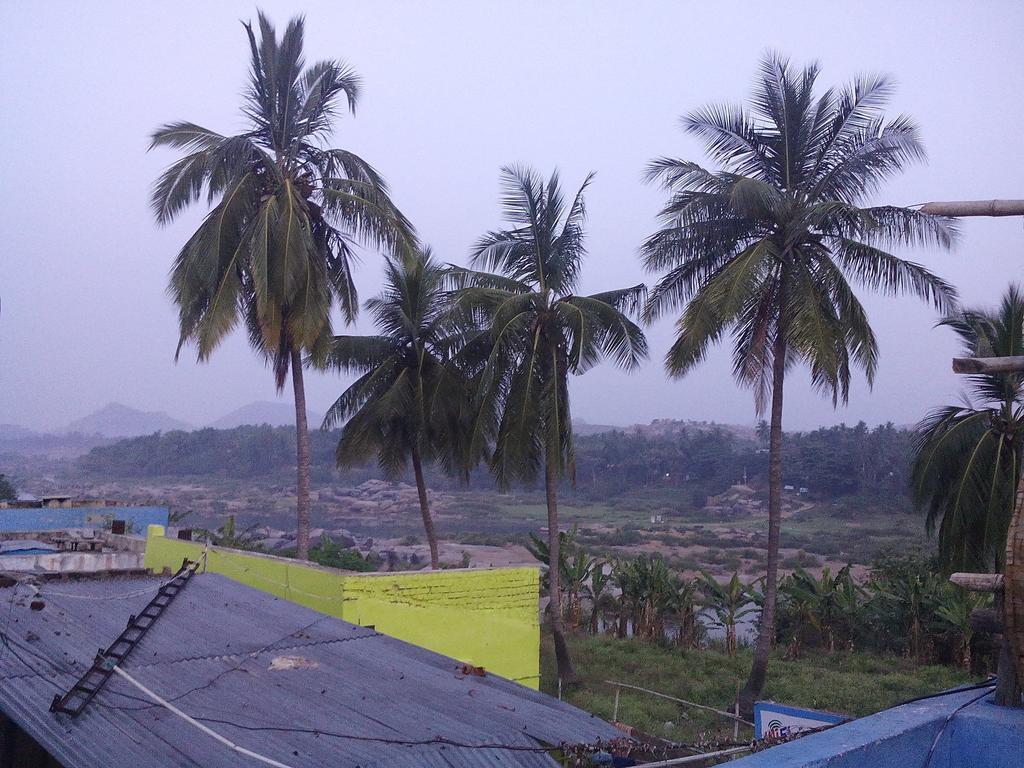 Riverside Homestay Hampi Luaran gambar